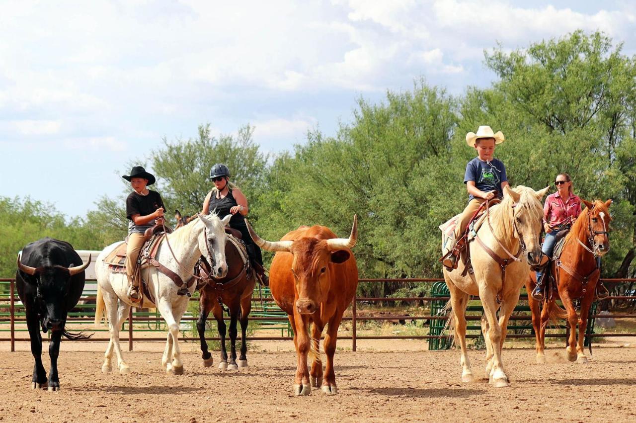 Отель Tombstone Monument Guest Ranch Экстерьер фото